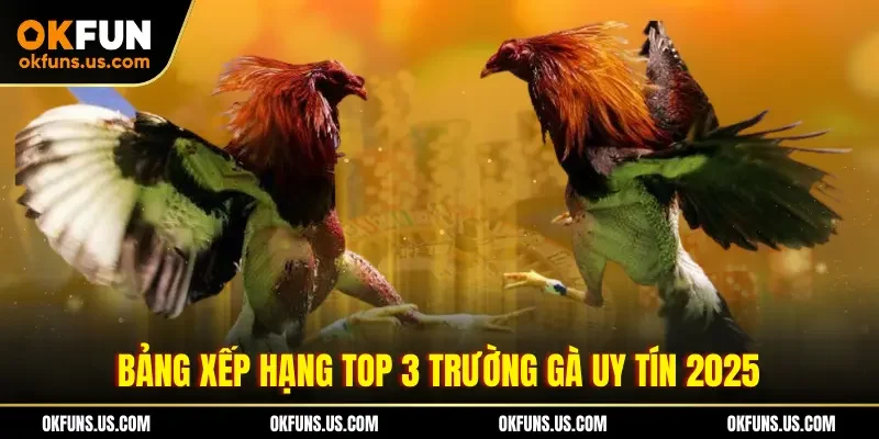 Bảng xếp hạng top 3 trường gà uy tín 2025