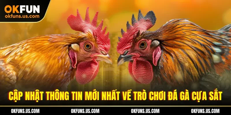 Cập nhật thông tin mới nhất về trò chơi đá gà cựa sắt