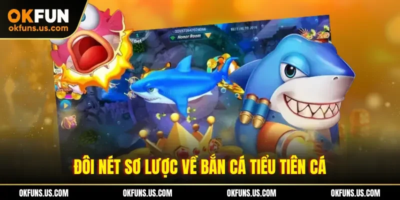 Đôi nét sơ lược về bán cá Tiểu Tiên Cá