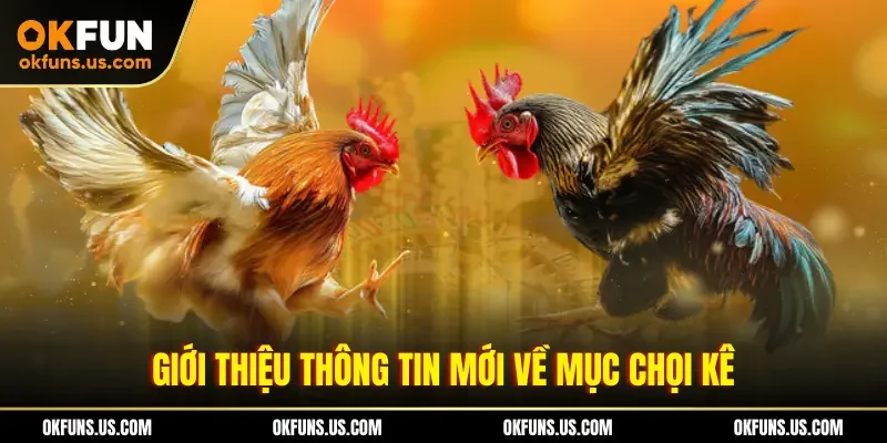 Giới thiệu thông tin mới về mục chọi kê