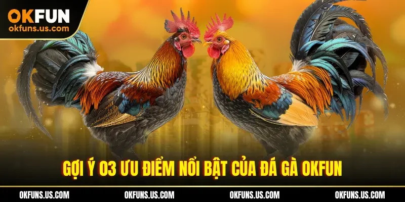 Gợi ý 03 ưu điểm nổi bật của đá gà OKFUN