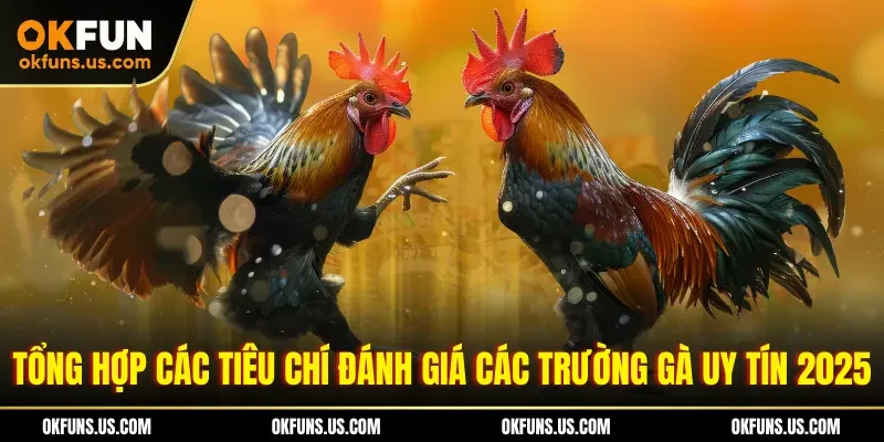 Tổng hợp các tiêu chí đánh giá các trường gà uy tín 2025