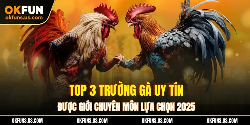 Top 3 Trường Gà Uy Tín Được Giới Chuyên Môn Lựa Chọn 2025